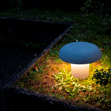 AMANITA-Martinelli-Luce-543850-rel272ef201.jpg